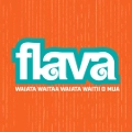 Radio Flava - FM 95.8